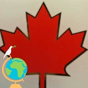 Meet your Posher, Lucy